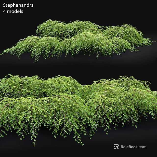 Lush Green Garden Hanging Plants With Cascading Foliage For Decorative Landscaping 3d model 