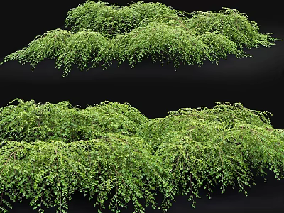 Lush Green Garden Hanging Plants With Cascading Foliage For Decorative Landscaping 3d model