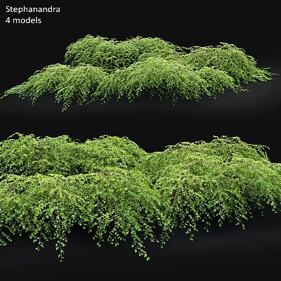 Lush Green Garden Hanging Plants With Cascading Foliage For Decorative Landscaping 3d model