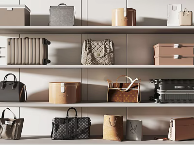 Assorted Bags and Boxes Arranged on Shelves Including Handbags Suitcases and Storage Cases 3d model