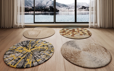 Modern Round Carpet 3d model