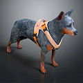 Dog Wearing Orange And Beige Harness Standing On Dark Surface Side Profile