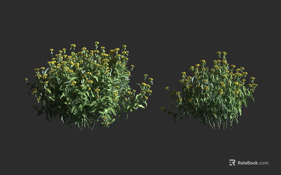 Lush Arbor With Green Leaves Yellow Flowers And Natural Growth Form 3d model 