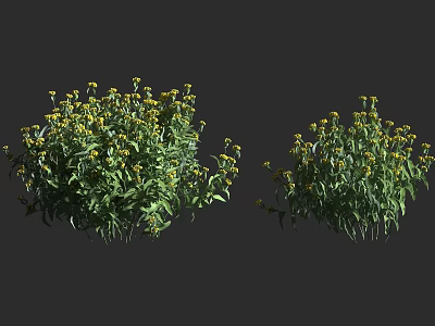 Lush Arbor With Green Leaves Yellow Flowers And Natural Growth Form 3d model