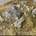 Wood And Stone Natural Materials With Rustic Texture In Outdoor Grassy Area