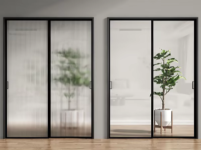 Modern Glass Sliding Doors With Black Frame In Indoor Space And Green Plant 3d model