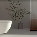 White Modern Wall Mounted Toilet In Bathroom Interior With Small Green Tree