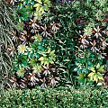 Vibrant Vertical Green Plant Wall Decor With Various Lush Foliage And Trimmed Base
