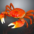 Red Crab With Large Claws And Detailed Legs In Close Up View
