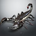 Realistic Black Scorpion With Red Tail Stinger And Large Pincers Detailed 3D Render