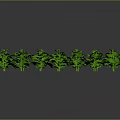 Fresh Green Plants Arranged In Specific Shape On Gray Background