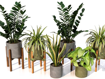 Indoor Bonsai Potted Plants With Various Green Leaves And Wooden Stand Planters 3d model