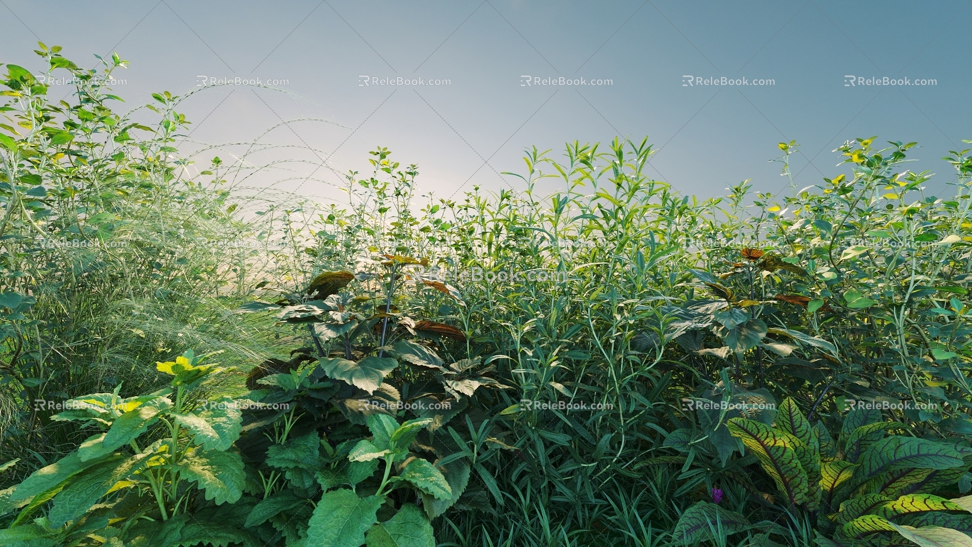 combination of flowers and plants landscape shrubs shrubs plant combination natural landscape weeds 3d model