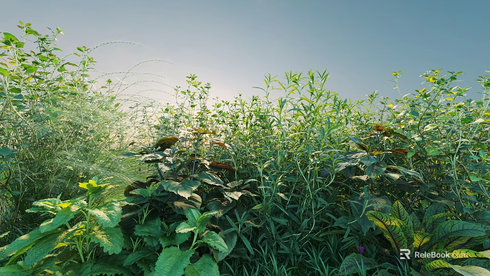 Vibrant Garden Shrubs Displaying Diverse Varieties And Lush Green Foliage 3d model 