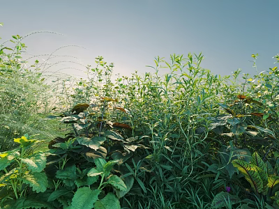 Vibrant Garden Shrubs Displaying Diverse Varieties And Lush Green Foliage 3d model