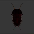 Detailed Red Trilobite With Orange Antennae And Legs On Gray Background