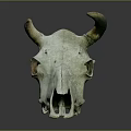 Veterinary Medical Device Animal Skull Model With Horns And Greenish Color