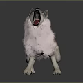 Mythical Fantasy Wolf Character With Pink Fur Roaring In Standing Posture