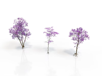 Three Purple Trees With Purple Foliage On White Background And Clear Reflections 3d model