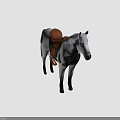 A gray and white horse with black spots brown saddle white mane and black tail