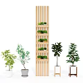 Various Bonsai Potted Plants With Wooden Shelf And Different Pot Designs For Indoor Decoration