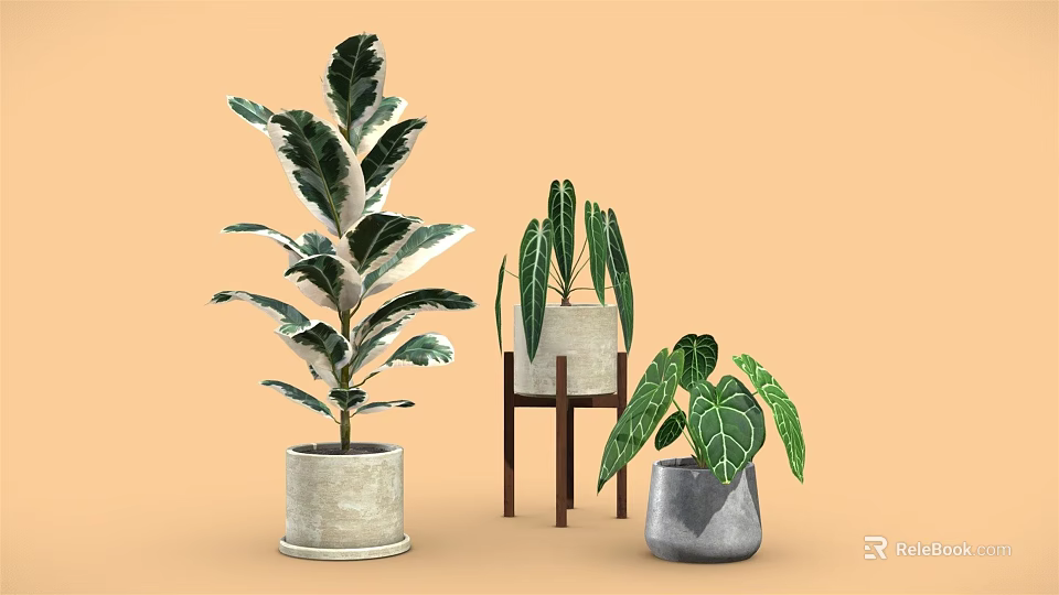 Potted Plants with Various Heights Diverse Leaf Shapes and Different Pots on Orange Background 3d model 