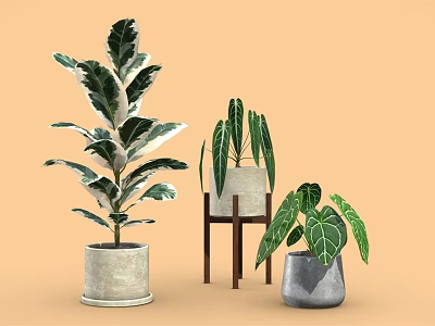Potted Plants with Various Heights Diverse Leaf Shapes and Different Pots on Orange Background 3d model
