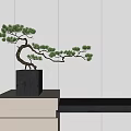 Bonsai Tree Curved Branches Green Pine In Gray Square Pot On White Platform White Wall