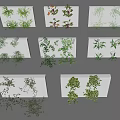 Multiple Green Plants Arranged on White Vertical Panels for Decorative 3d model