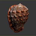 Shell Shaped Decorative Ornament Set With Orange White Striped Textured Design For Home Decor