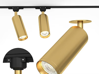 Modern Golden Downlights And Spotlights With Sleek Design For Home Lighting 3d model