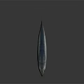Silver Aquatic Fish With Large Eyes And Shiny Smooth Body Against Dark Background With Reflection