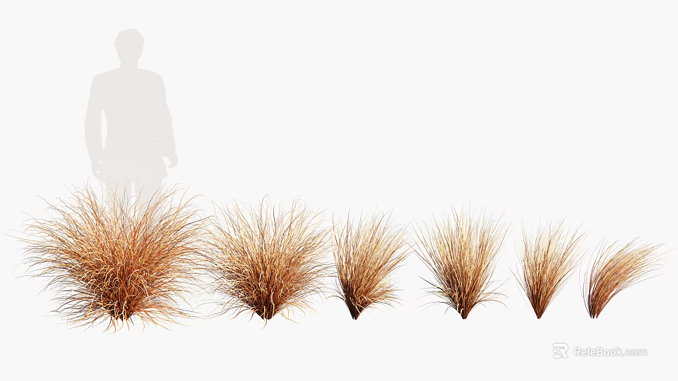 Natural Brown Grass Tufts with Person Silhouette on White Background 3d model 