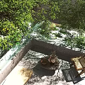 Outdoor Leisure Chair In Courtyard With Lush Green Trees And Stone Floor