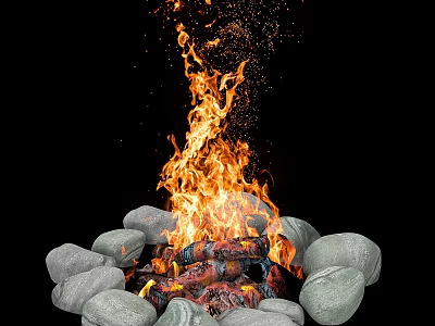 Natural Round Stones Arranged Around Burning Wood Logs With Bright Flames 3d model