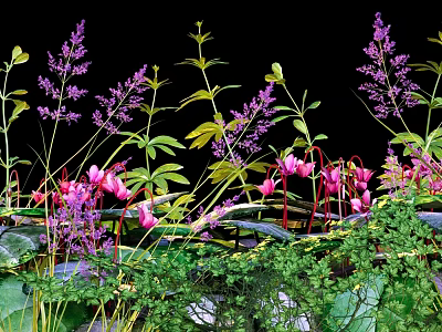 Beautiful Garden Shrubs with Purple Pink Flowers and Green Leaves 3d model