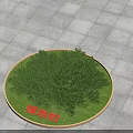 Green Creeping Juniper Shrub In Circular Planting Area With Grass And Paved Tiles