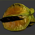 Sliced Star Fruit With Vibrant Yellow Flesh And Shiny Skin On Dark Background