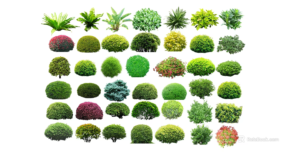 Various Types Of Shrubs With Different Shapes And Colorful Foliage For Garden Landscaping 3d model 