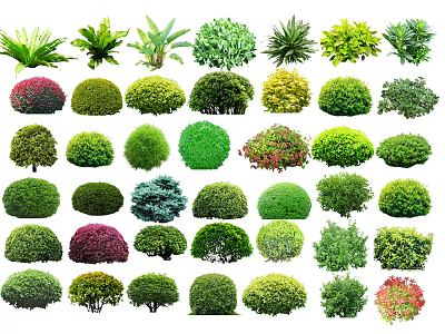 Various Types Of Shrubs With Different Shapes And Colorful Foliage For Garden Landscaping 3d model