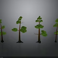 Four Green Trees with Different Shapes and Brown Trunks Against Gray Background and Ground Reflections