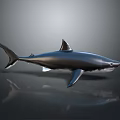 Metallic Shark Swimming Pose With Detailed Fins Dark Background Clear Reflection