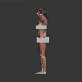 Male and Female Human Anatomical Models with Visible Organs Hair and Detailed Muscle Structure
