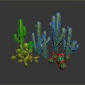 Various Green Cactus Plants with Red Flowers Including Tall Columnar and Round Spherical Types