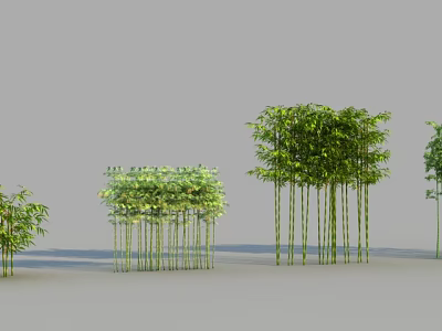 Various Types of Bamboo with Different Heights and Lush Green Leaves 3d model