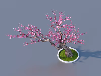 Potted Arbor Tree With Pink Blossoms Green Grass And White Pot 3d model