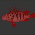 Modern Fish Moon Fish 3d model