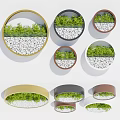 Decorative Circular Wall Decor with Green Plants and White Pebbles in Various Colored Frames 3d model