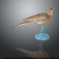 Taxidermy Bird With Brown And Orange Feathers On Blue Base Against Dark Background