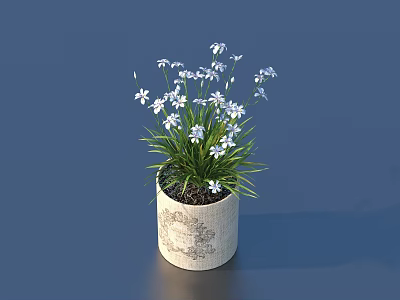 Bonsai Potted Plant With Small White Flowers Green Grass And Light Textured Pot 3d model
